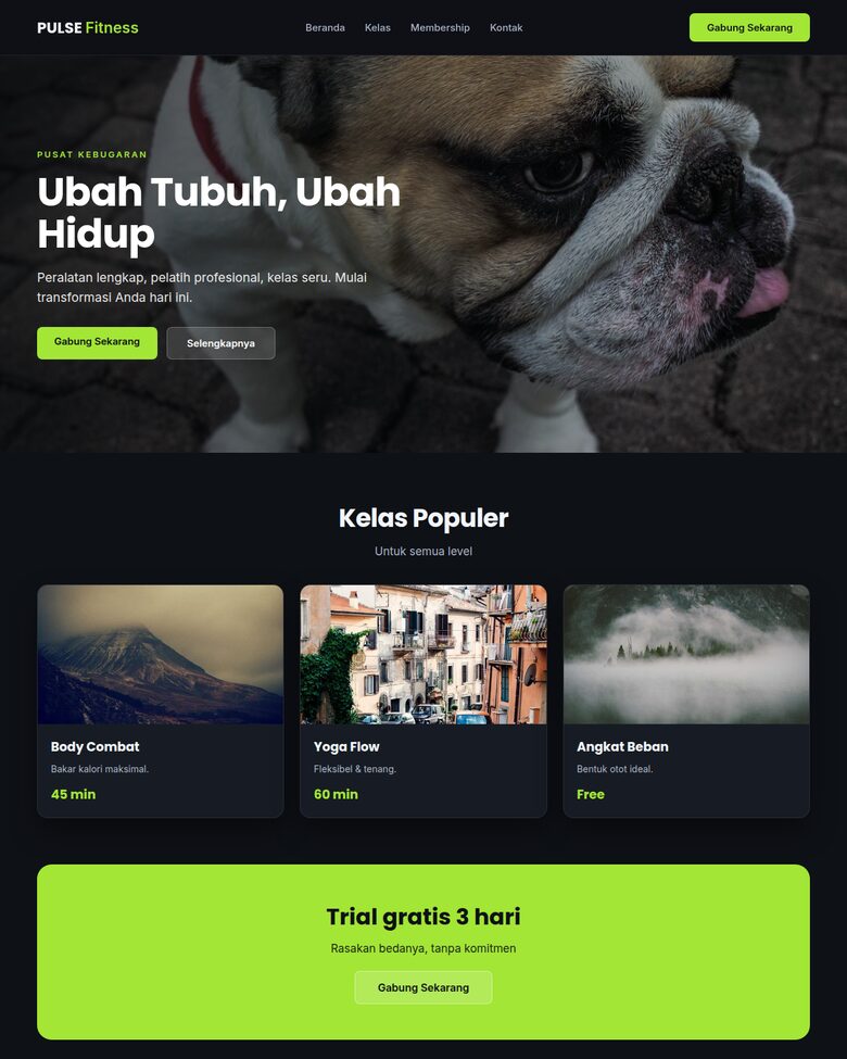 Website Fitness